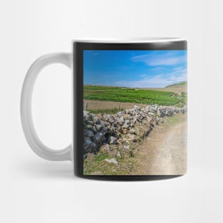 The path to Carnllundain on Ramsey Island Mug